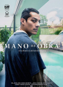 英雄联盟中最受欢迎的打野英雄